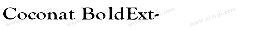 Coconat BoldExt字体转换